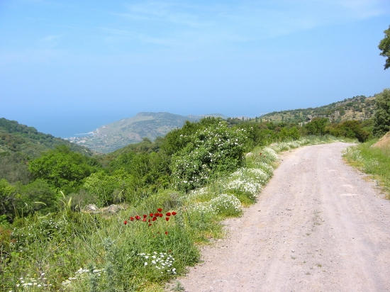 noordkust bij Pï¿½tra Lesbos